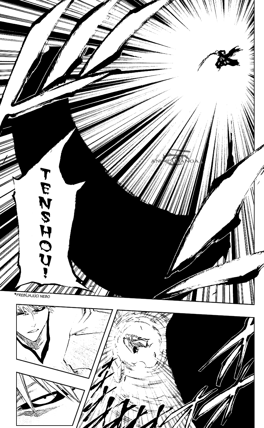 Bleach 219 09 kopie.jpg